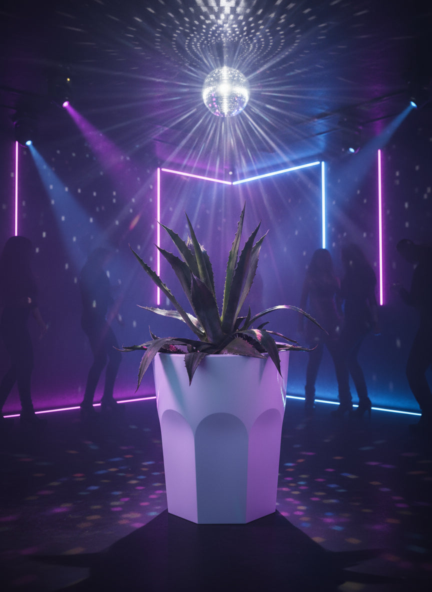 Vaso di Design in Polietilene - Per Interni ed Esterni, Moderno e Resistente