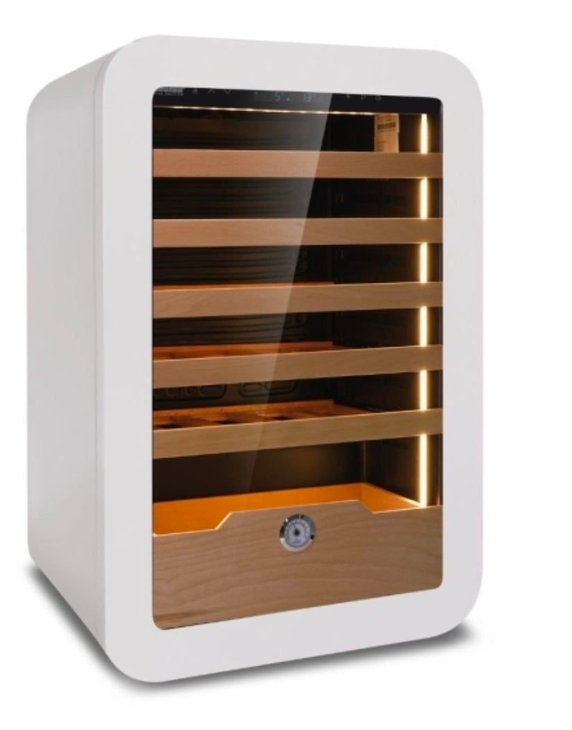 Cantinetta Vini VINARIUS 40 GRN – 36 Bottiglie – Colore Verde – Porta in Vetro